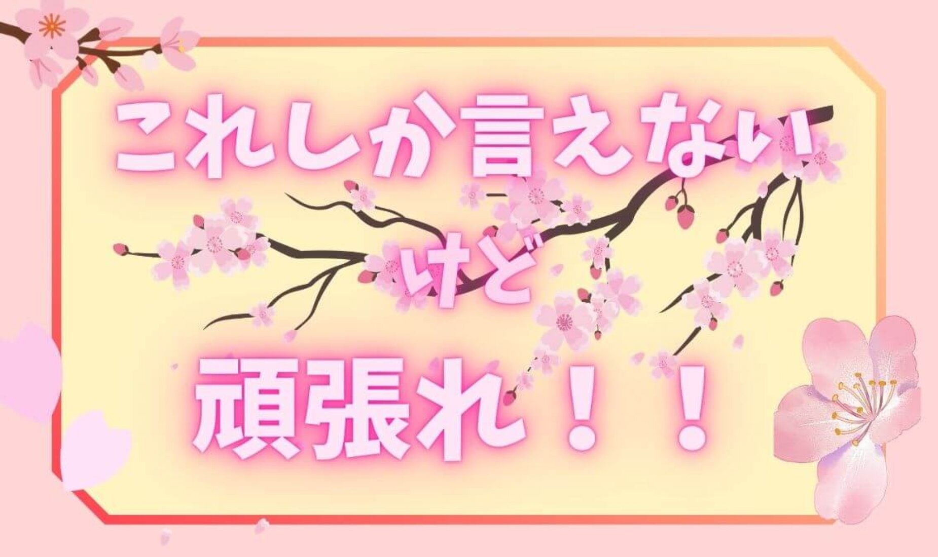 やっぱり「頑張れ！」しか言えない。受験生のプレッシャーに寄り添う本音のエール【鹿児島市A型事業所】