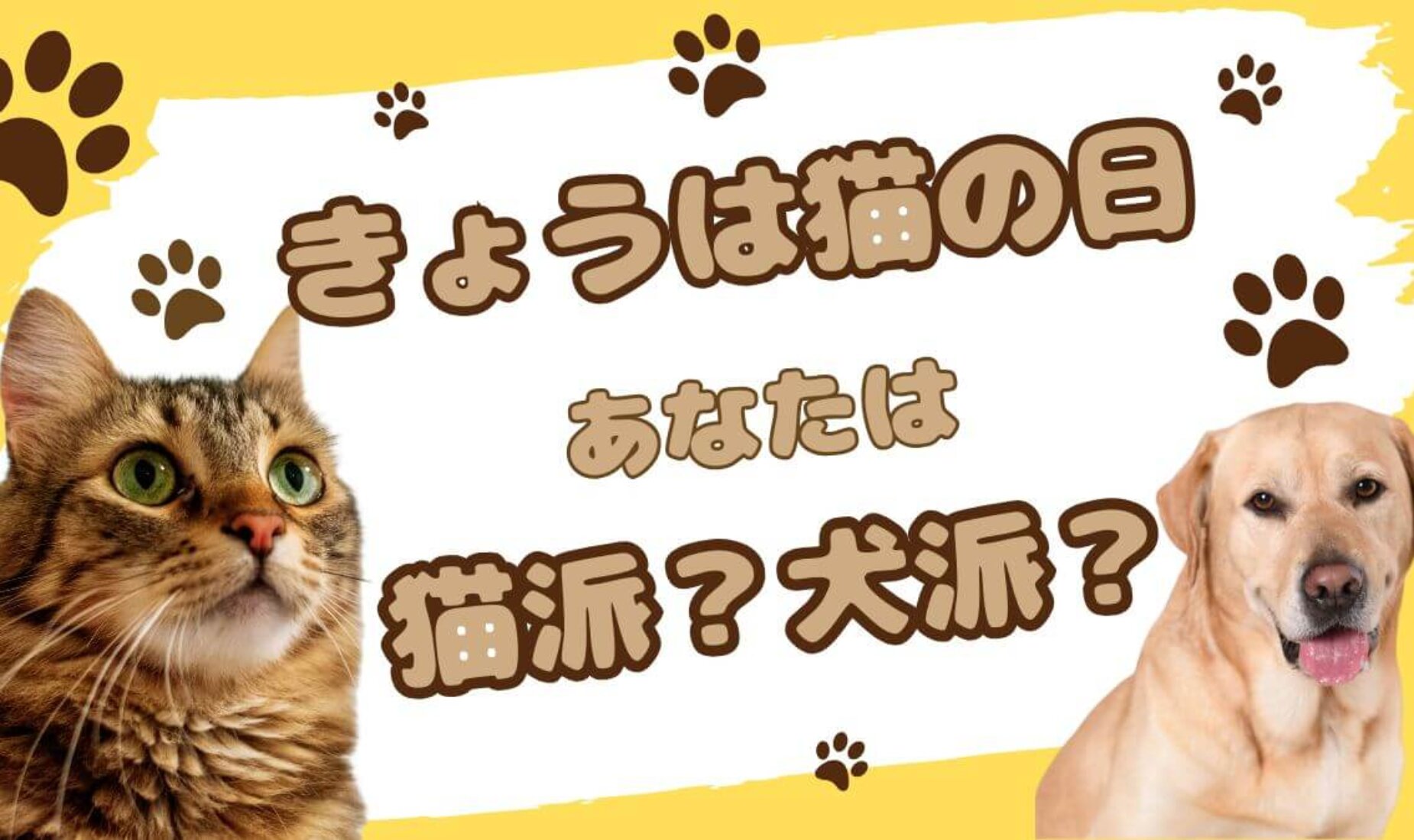 猫の日に考える「自分らしい在り方」。私が犬派ではなく猫派なワケ【鹿児島市A型事業所】