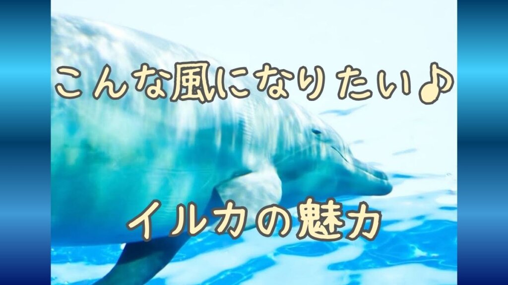 イルカになってみたい