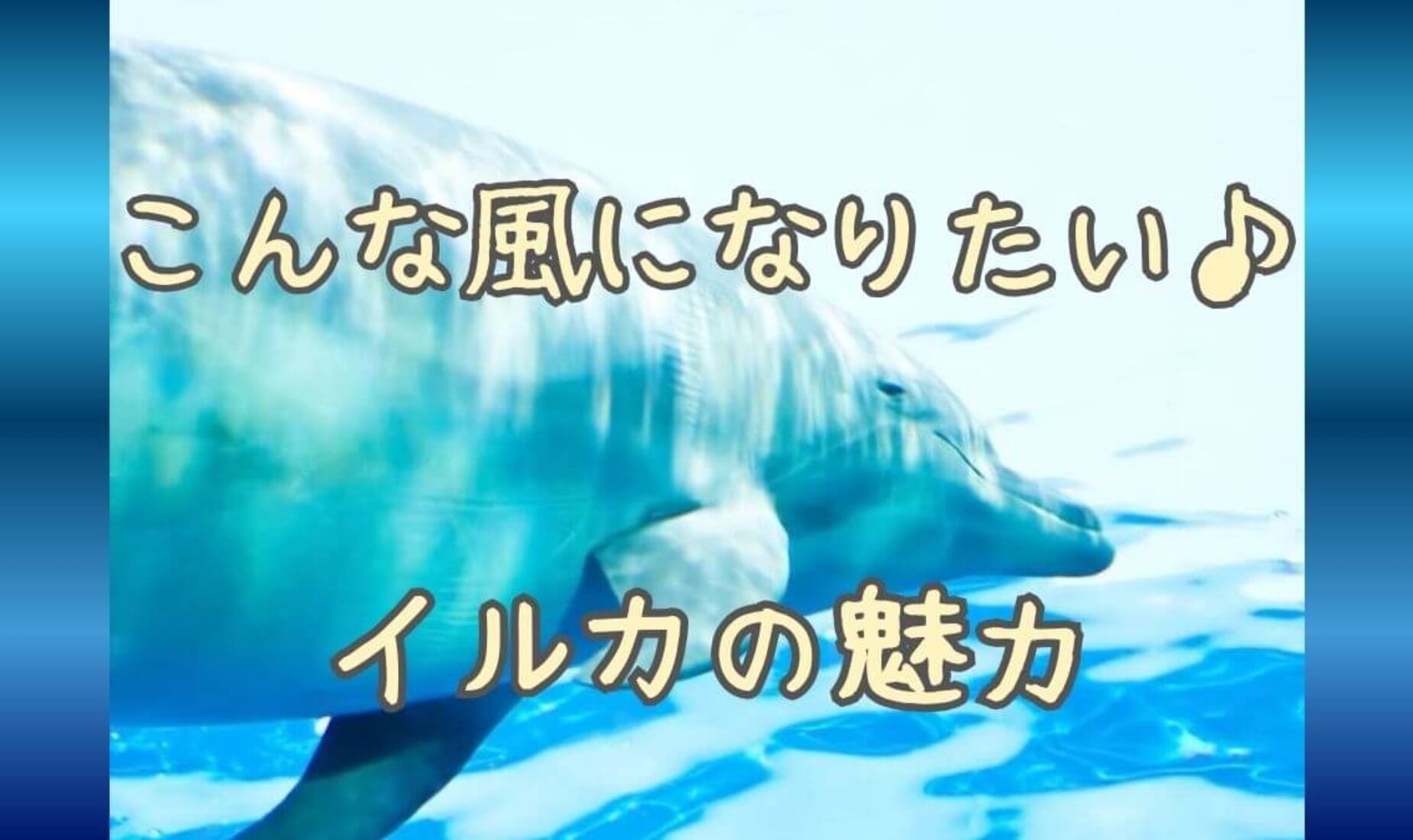 🐬なりたい動物はイルカ🐬！知性と社会性があって、愛されているところが魅力♪【鹿児島市A型事業所】