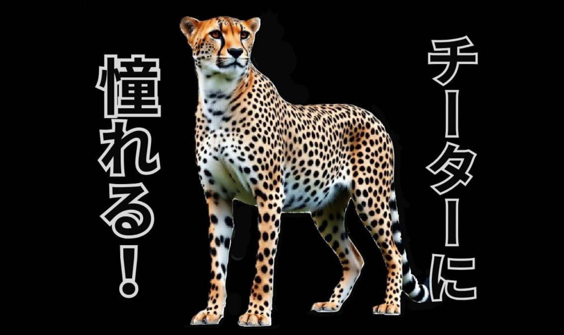 憧れる動物は地上最速ハンターのチーター｜警察チーターなんてどう？【鹿児島市A型事業所】