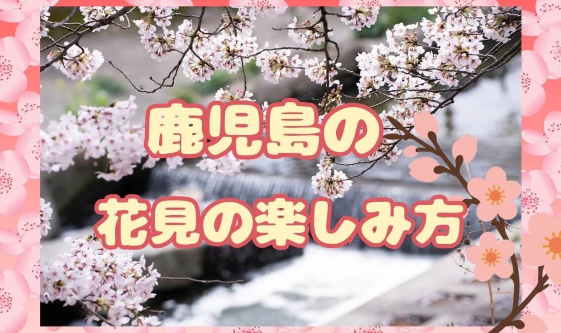2026年鹿児島の桜。吉野公園ではすでに開花！地元民が教える鹿児島の花見【鹿児島市A型事業所】